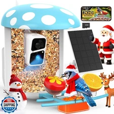 PeckCam Smart Bird Feeder with Camera 2K Live Real-Time Alert AI 