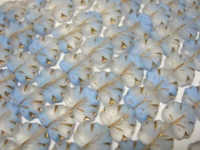 12 beads - Matte Blue Clear Blend  w/ Gold Czech Glass Maple Leaf Beads 11x12mm