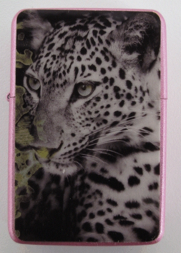 Picture 17 of 23