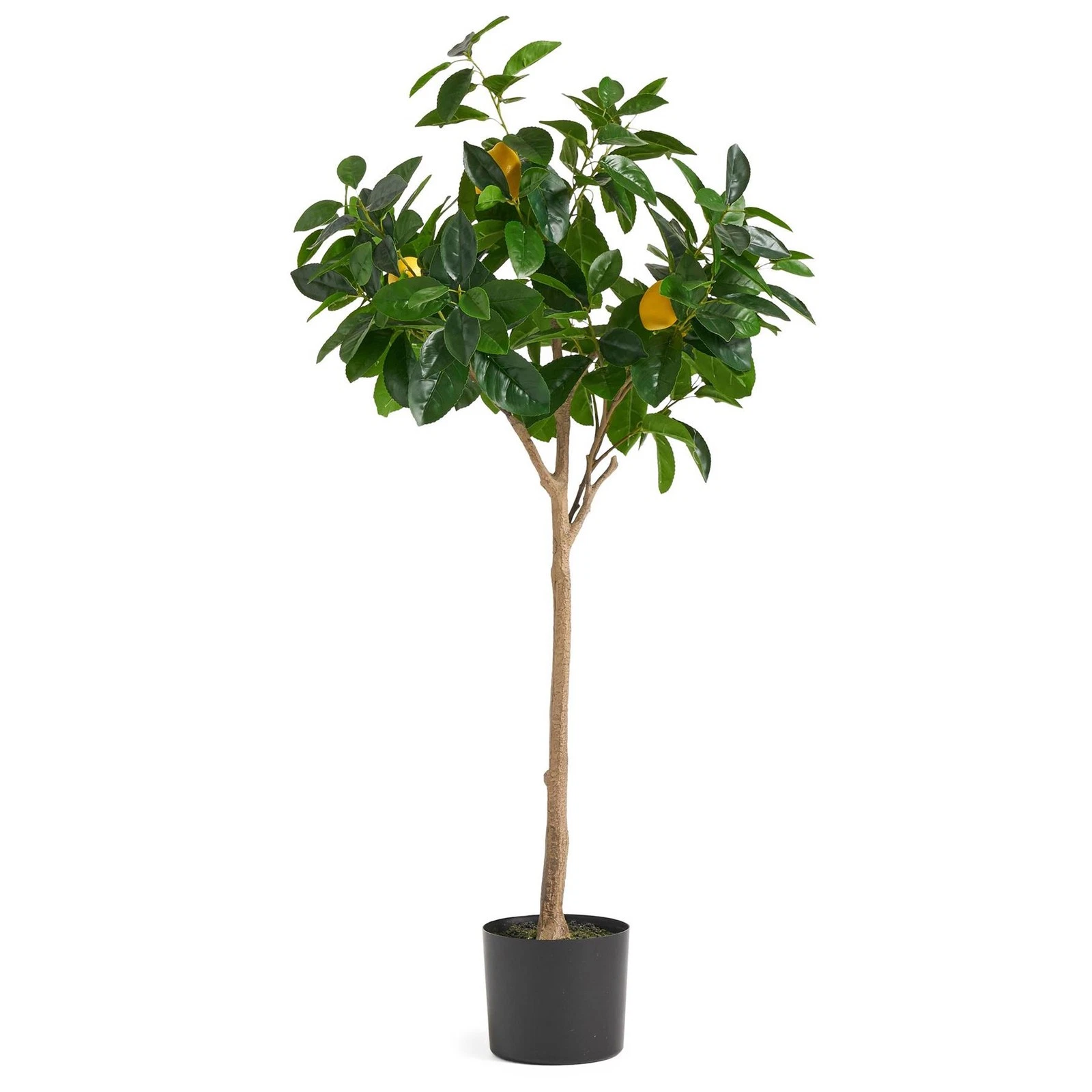 120cm Lemon Tree - 70423