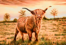 Highland Cow, Farm decor, Wall Decor,  Artwork, Personalized Canvas Print
