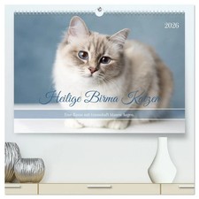 Heilige Birma Katzen - Eine Rasse mit traumhaft blauen Augen. (hochwertiger...