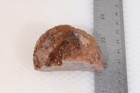 Morocco Agate lapidary 3.8 oz  Nodule faced rough lot Av — photo 3
