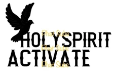 Sublimation Print Holyspirit Dove Ready To Press Heat Transfer