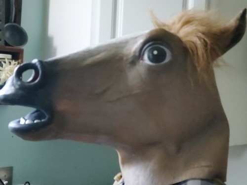 HORSE Mask FULL SIZE Halloween Costumes Adult HEAD Latex - Picture 3 of 3
