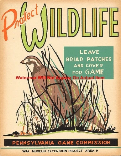Protect Wildlife Pa Game Commission Poster Photo Print 8.5x11"