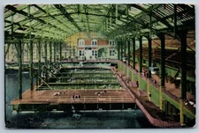 Postcard Interior Sutro Baths San Francisco California CA October 1909 J1M