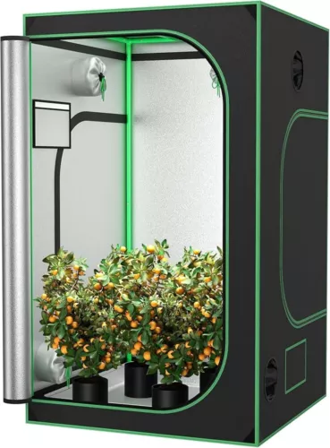 Hydroponic Grow Tent w/ Window & Floor Tray for Indoor  3x3 - Black
