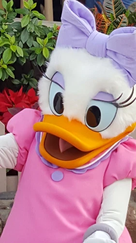 2015 Daisy Duck 75th Anniversary Silver Coin-New Zealand Mint--Low Mintage w/COA