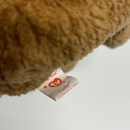 TY Beanie Baby Very Rare Curly the Bear with Tag Errors (1993/1996) & Brown Nose - Picture 10 of 12
