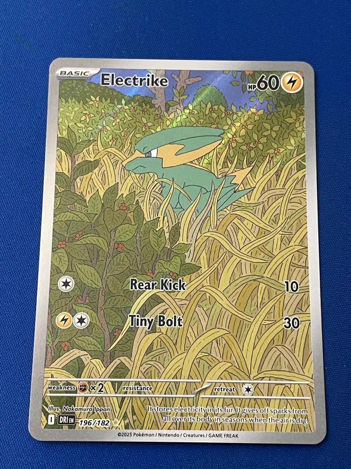 Pokemon Electrike 196/182 Sv10: Destined Rivals Holo NM