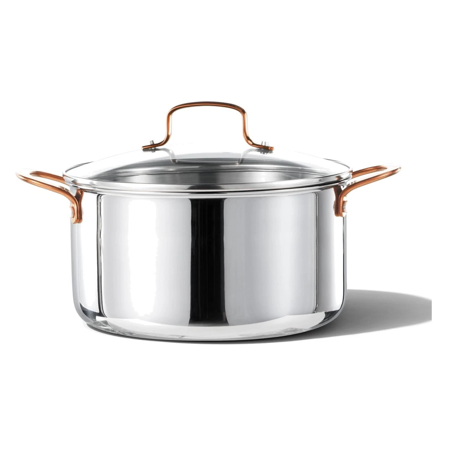 High-Quality 6Qt Stainless Steel Stockpot - Mirror Polished with Glass Lid