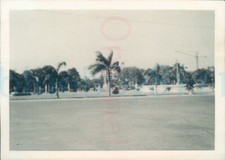 1950s  Karachi Pakistan Waving Palms at the Beach 3.5x2.5
