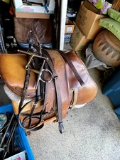 16.0” Beval Close Contact Saddle with 2 Fittings Girth Pad and bridles Imported