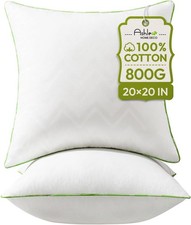 Ashler 20 x 20 Pillow Inserts Set of 2, Hypoallergenic Pillow 100 Cotton