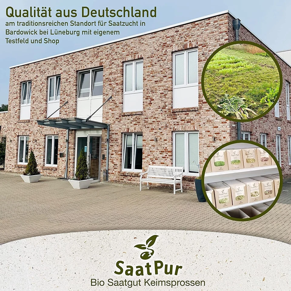 1kg BIO Keimsaat für Sprossen Kresse Samen Keimsprossen Microgreens Vegan Öko - Bild 4 von 4