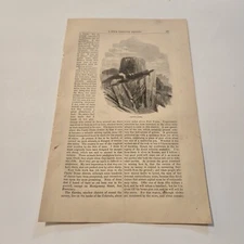 Castle Dome Arizona c. 1864 Engraving (367)