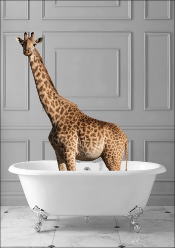 GIRAFFE IN BATHTUB -QUIRKY ART FRAMED POSTER PICTURE PRINT BATHROOM ARTWORK - Picture 7 of 10