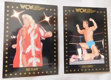 1991 Championship Marketing WCW Wrestling Card #1-110 Pick one