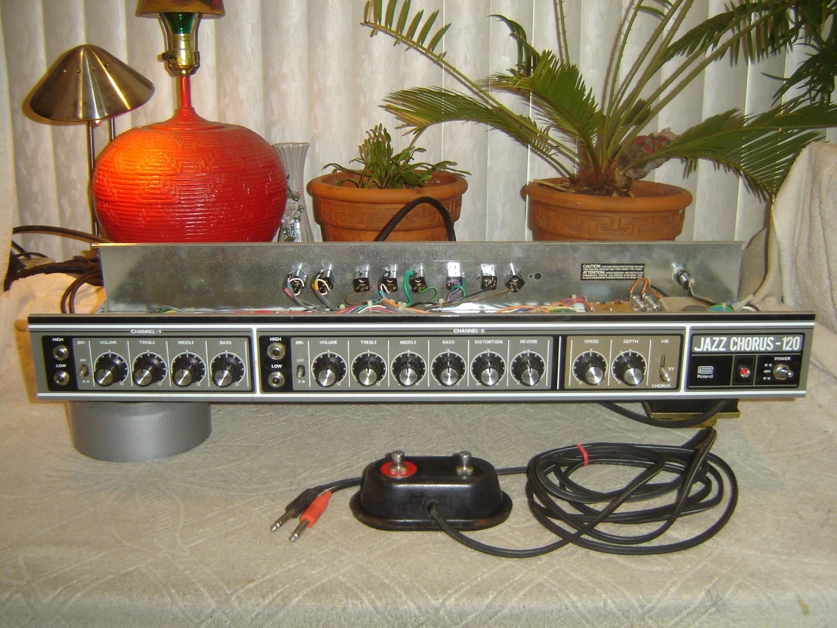 Roland on sale amp head