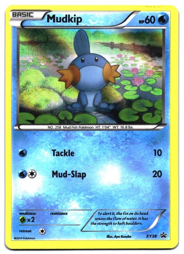 Mudkip XY38 Holo Promo XY Promo Pokemon