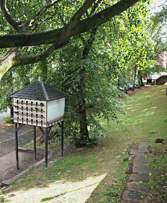 Foto 12x8 Frodsham Street Umgebung Chester Ein Taubenschlag aus einem Abschnitt gesehen c2018