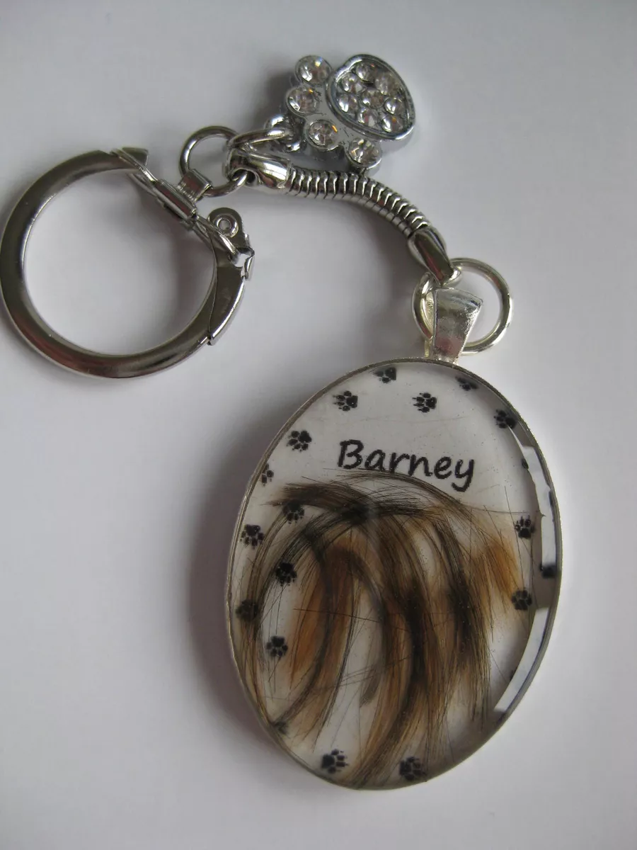 Pet shop hair keyring