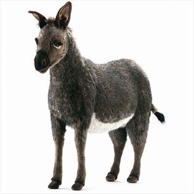 hansa donkey