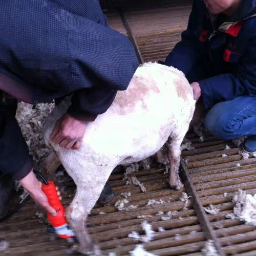 Electric Sheep Goat Shears Clippers Electric Animal Shave Grooming Farm Tool US - Picture 16 of 18