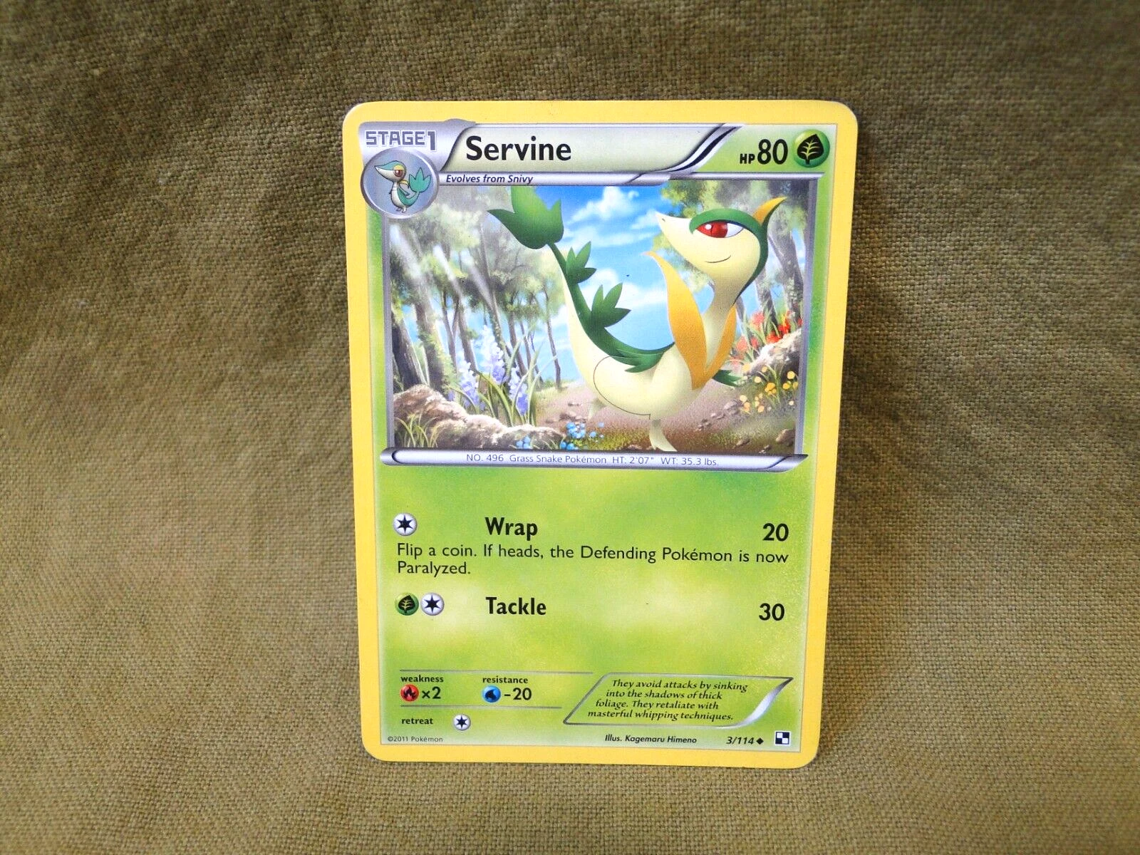 Pokemon Trading Card - Black & White: Servine 3/114