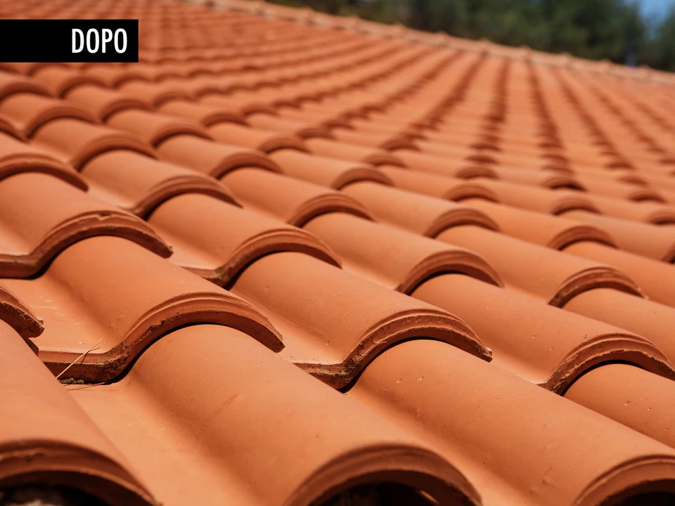 Protettivo Ravvivante per Mattoni e Cotto Impermeabilizzante GeoPaint - Immagine 3 di 3