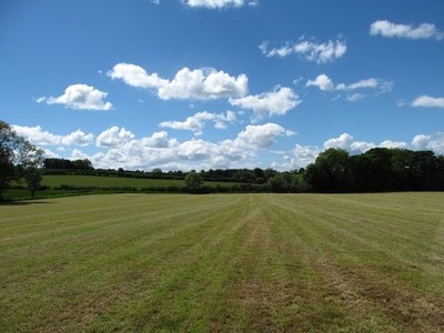 Photo A3 Cropped field east of Morey Cleatlam In early June, the first c c2017