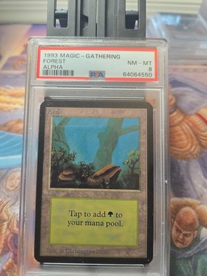 MTG 森 α PSA8 Forest MTG Magic the Gathering Alpha PSA 8 Vintage Old School