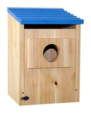 Bird Houses Outside Finch Bluebird Cardinals, Weatherproof Cedar Wood Hanging...