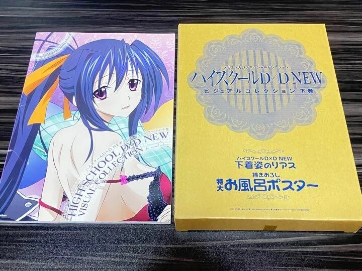 Amazon.co.jp: ハイスク-ルD×Dビジュアルコレクション : ごとう