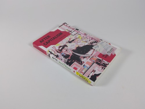 After Capitalism Second Edition Paperback By David Schweickart VGUC - 第 1/11 張圖片