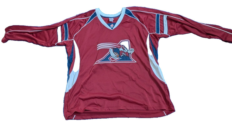 Vintage Montreal Alouettes CFL Sugoi Jersey - Men's XL - Red "Power A" Bird Logo
