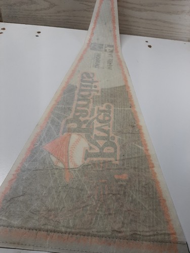 Quad Cities IOWA RIVER BANDITS 29" Pennant w/spider- Minor League Baseball - Picture 5 of 5