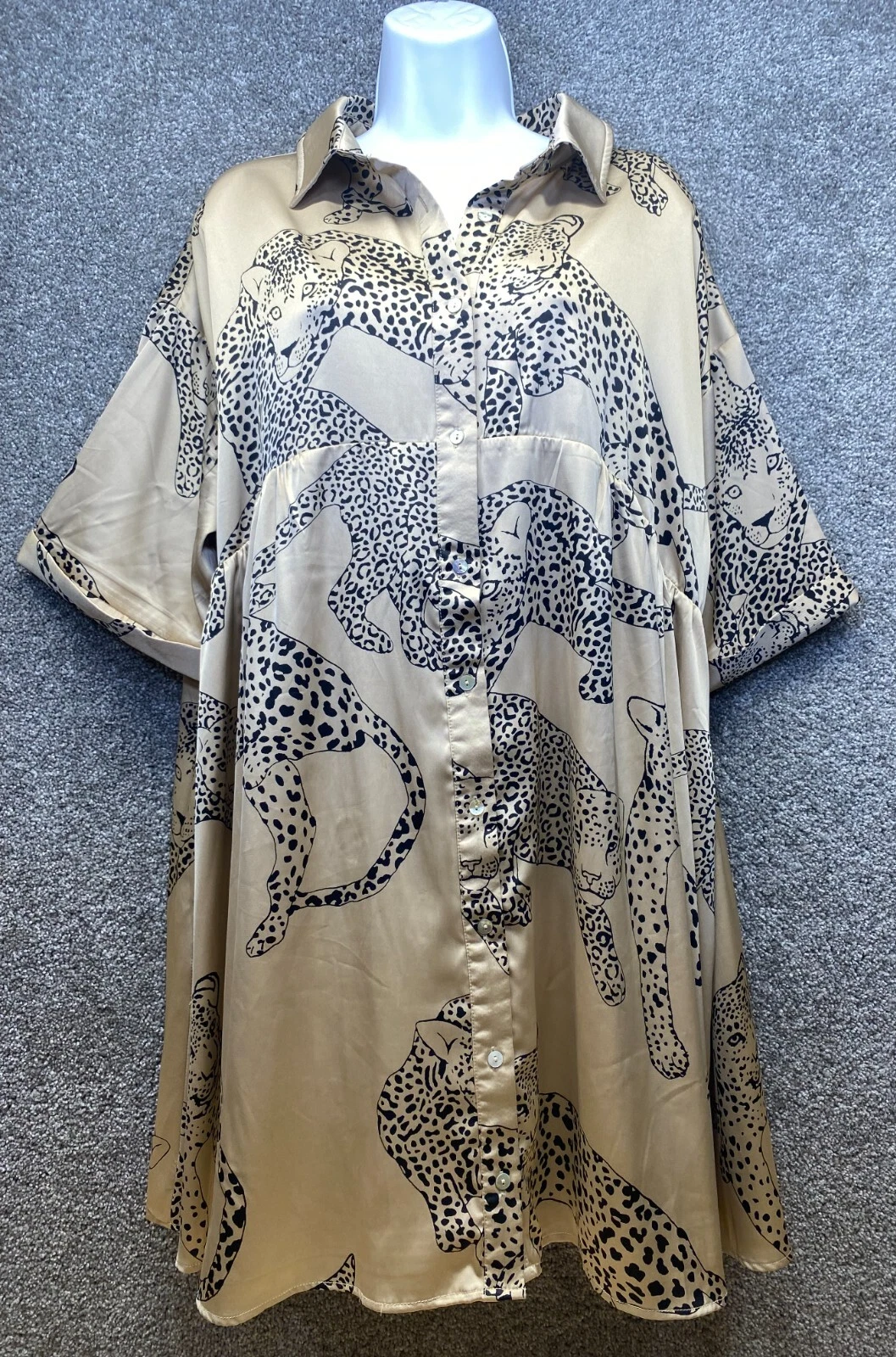 Picture 1 of 13
