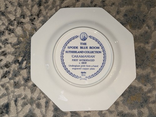 Vtg Set Of 6 Spode Blue Room Sutherland Collection Octagonal Plates-EUC - Picture 20 of 24