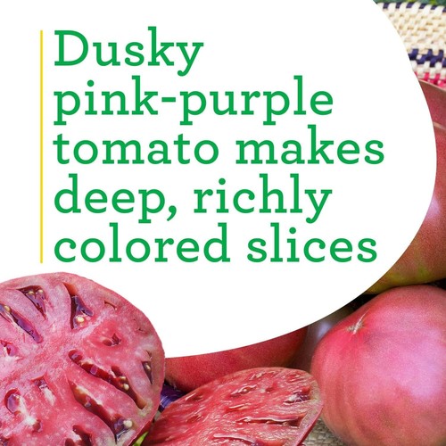 Cherokee Purple Tomato Live Plants 4 Pack Heirloom 10-12 Oz Great for Slicing - Picture 6 of 12