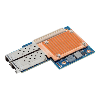 Gigabyte QLogic 25G LAN card Dual-Port CLNOQ42 (12107)