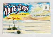 Greetings From White Sands New Mexico 14 Views In Natural Colors