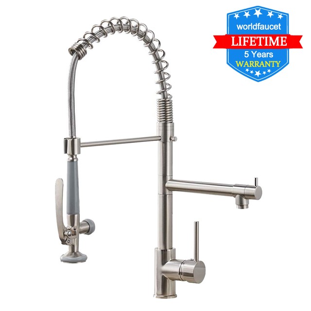 Premier Charlestown Bridge Kitchen Faucet With Spray 120345lf Pvd