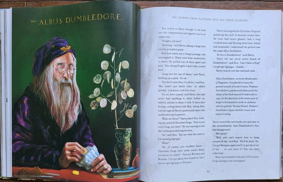 Harry Potter Illustrated 1-5 Hardcover Book Set by J K Rowling 5 Books US ver. - image 4 of 4