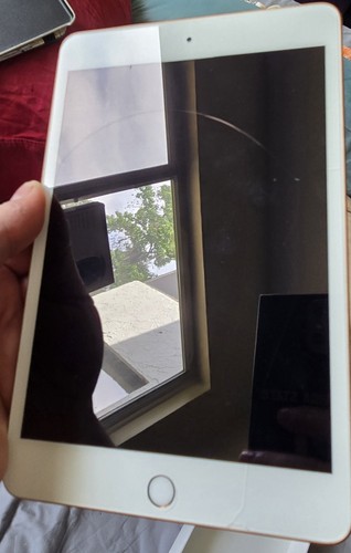 Apple iPad mini 5 (5th Generation) A2133 256 GB, Wi-Fi, 7.9 in - Gold - Afbeelding 4 van 7