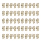  50 Pcs Mini Skull Heads Plastic Skulls for Crafting Table Ornament Halloween
