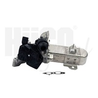Hitachi Agr-Ventil 138461