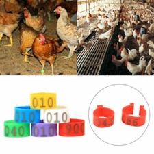100pcs 16/20mm Chicken Poultry Foot Ring Hen Leg Clip Band Duck Bird Ring Parrot