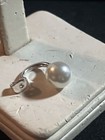 Foto 4 di 5